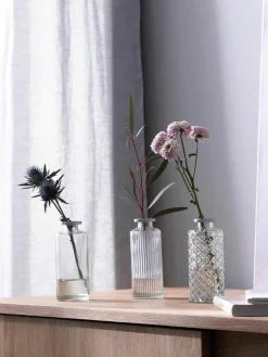 Kleine Vasen Adore aus Glas, 3er-Set