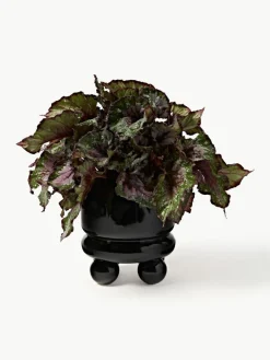 Kleiner Übertopf Bryn, H 18 cm