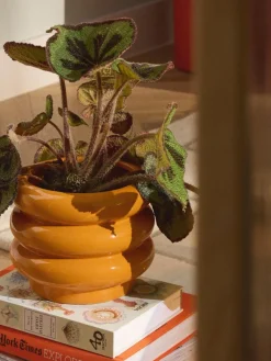 Kleiner Übertopf Rudi aus Steinzeug, H 16 cm