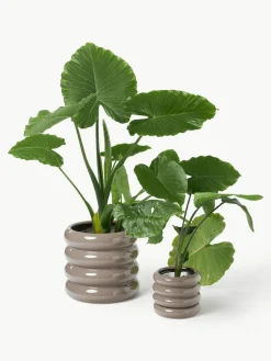 Kleiner Übertopf Rudi aus Steinzeug, H 16 cm