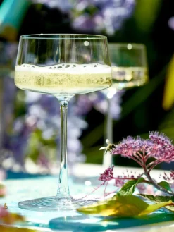 Kristall-Champagnerschalen Power, 6 Stück