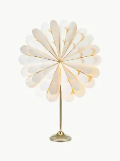 Leuchtstern Marigold