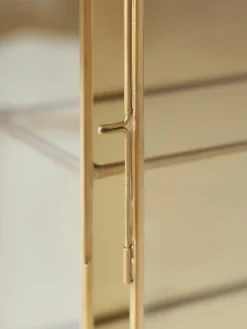 Metall-Wandregal Ada mit Glasablageflächen und Glastür