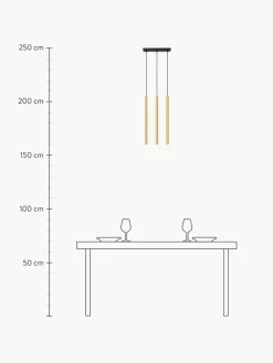 Pendelleuchte Fideus