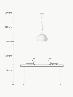 Pendelleuchte Small FL/Y