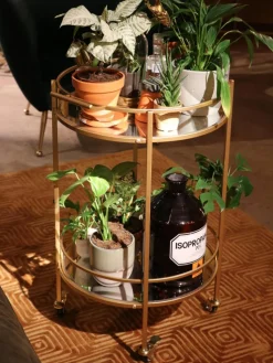 Runder Servierwagen Emilia mit Spiegelglasplatten