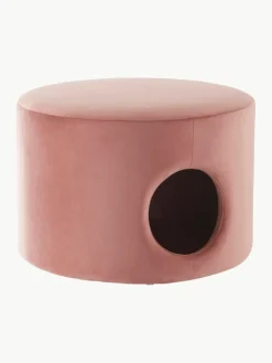 Samt-Haustierhöhle In Peace