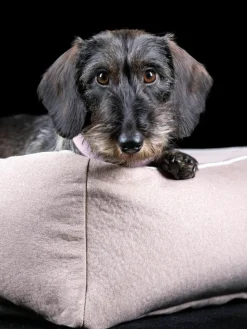 Samt-Hundebett Buffalo, in verschiedenen Größen
