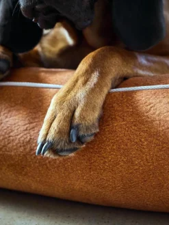 Samt-Hundebett Buffalo, in verschiedenen Größen