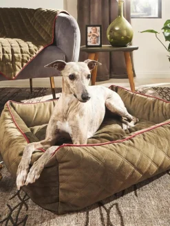 Samt-Hundebett Oxford, in verschiedenen Größen