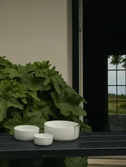 Schalen Raw, 3er-Set