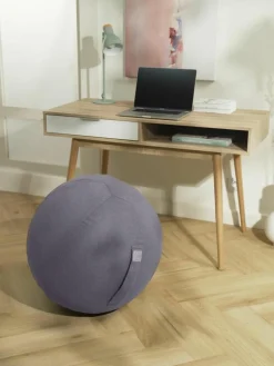 Sitzball Felt mit Tragegriff