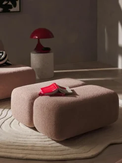 Teddy-Hocker Caterpillar