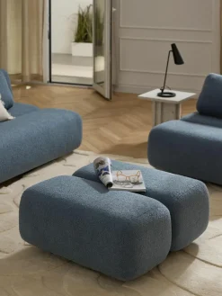 Teddy-Hocker Caterpillar