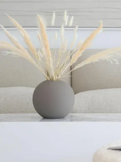 Trockenblumen Pampas