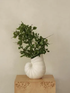 Vase Shell in Muschel-Form, H 27 cm