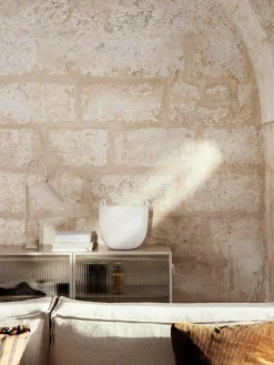 Vitrine Haze mit Glastüren