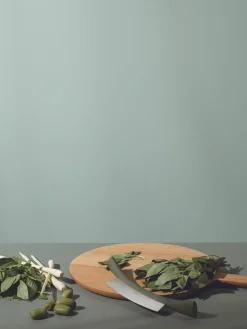 Wiegemesser Green Tool